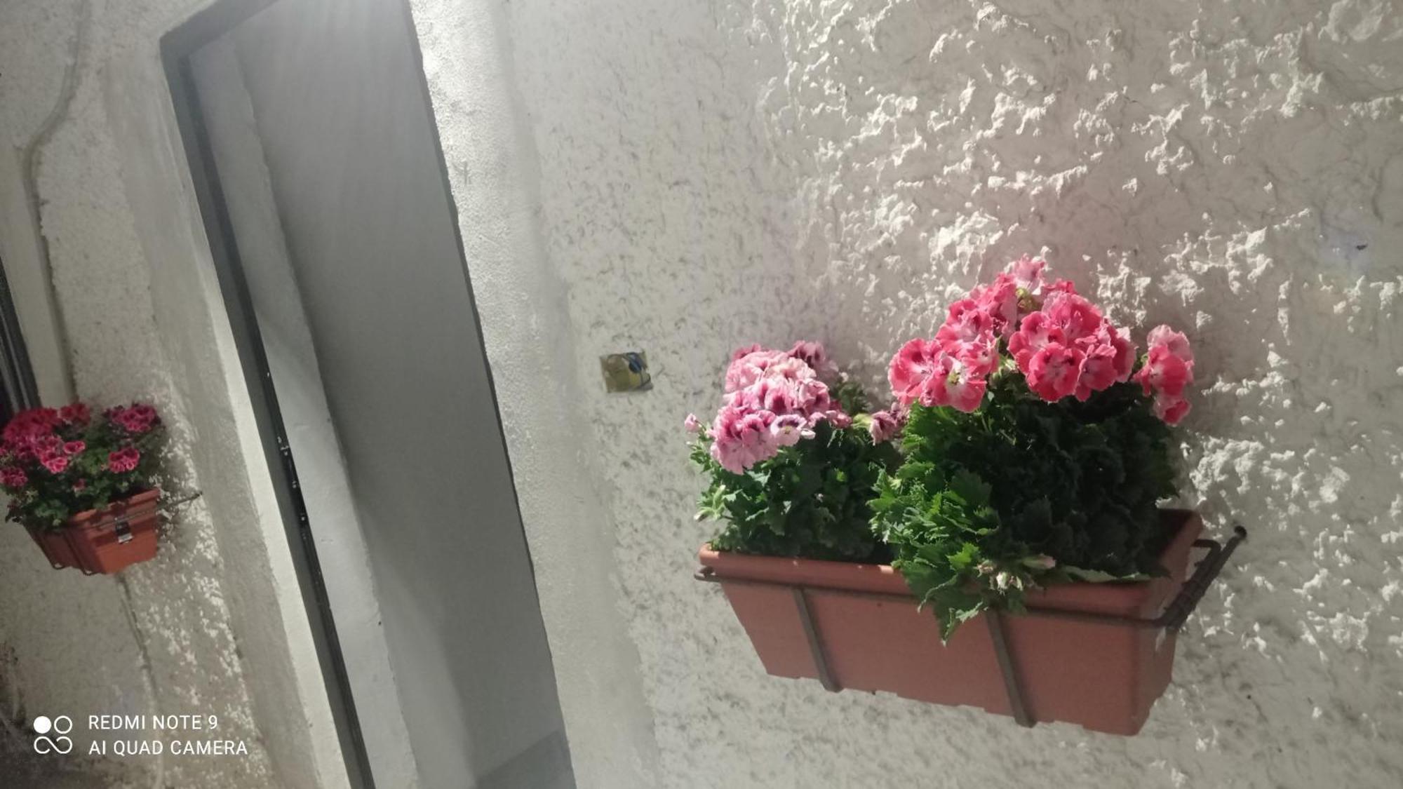 הוילה קטאניה Ortensia C House מראה חיצוני תמונה