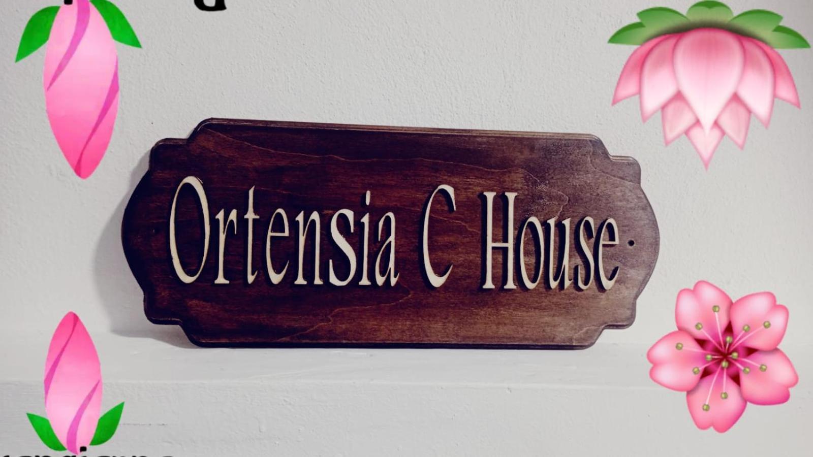 הוילה קטאניה Ortensia C House מראה חיצוני תמונה